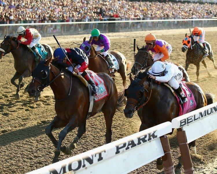 CALIFORNIA CHROME - TONALIST 2014 Belmont Stakes Horse Racing 8 x 10 Photo Race CALIFORNIA CHROME - TONALIST 2014 Belmont Stakes Horse Racing 8 x 10 Photo Race