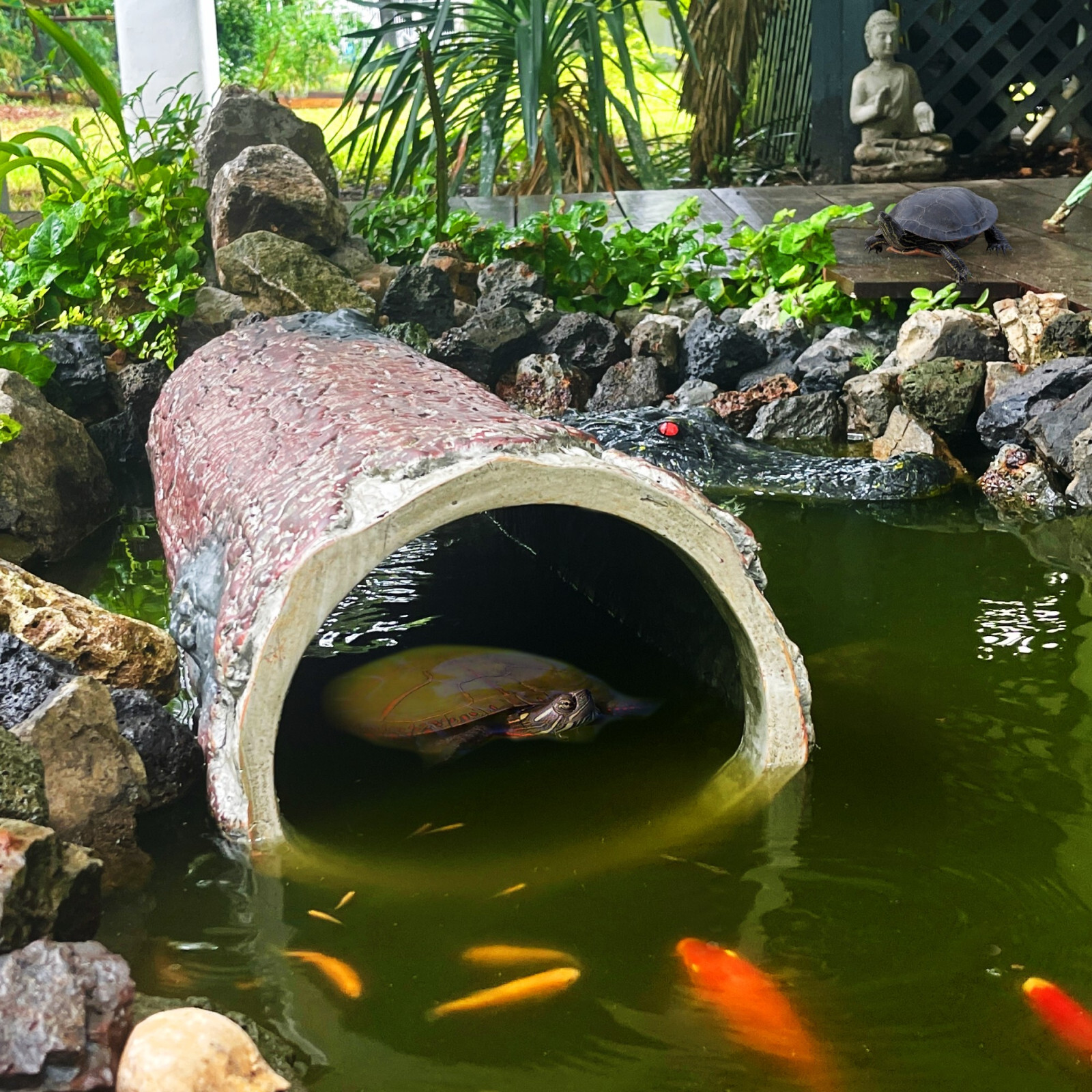 Hollow Log Hideaway Extra Large Realistic Stump Hideout for Reptiles & Ponds Hollow Log Hideaway Extra Large Realistic Stump Hideout for Reptiles & Ponds