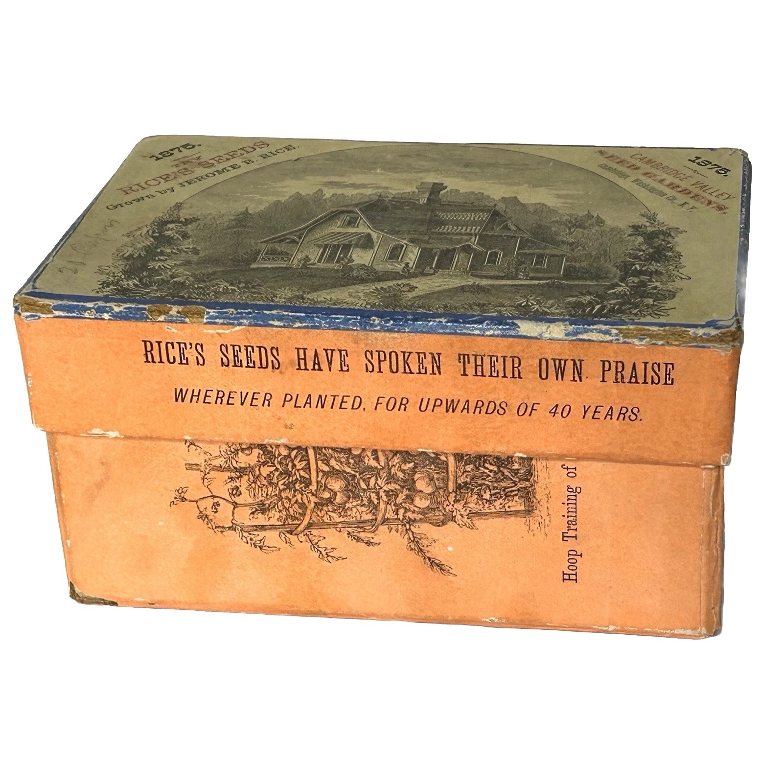 Rare Antique Rice’s Seed Box 1875 Salesman Sample Cambridge Valley Seed Gardens