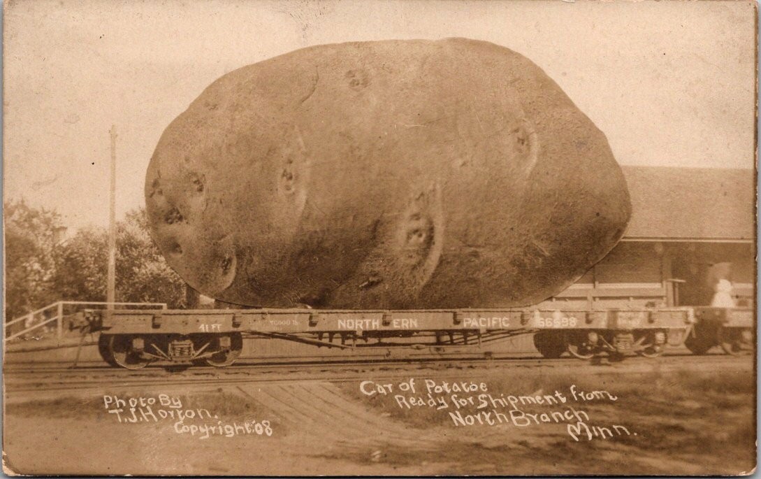 North Branch Minnesota Exaggerated Potato Northern Pacific Postcard Real Photo North Branch Minnesota Exaggerated Potato Northern Pacific Postcard Real Photo