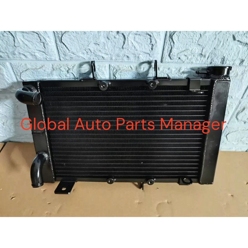 Performance Radiator for Triumph Trident 660 / Tiger 660 Performance Radiator for Triumph Trident 660 / Tiger 660
