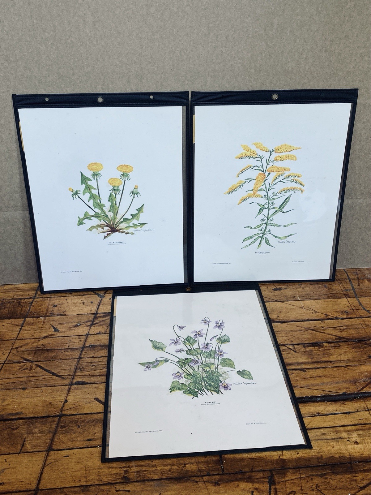 Vintage Wildflower Prints Nellie Meadows 1969 Fayette Park Print Lot of 3