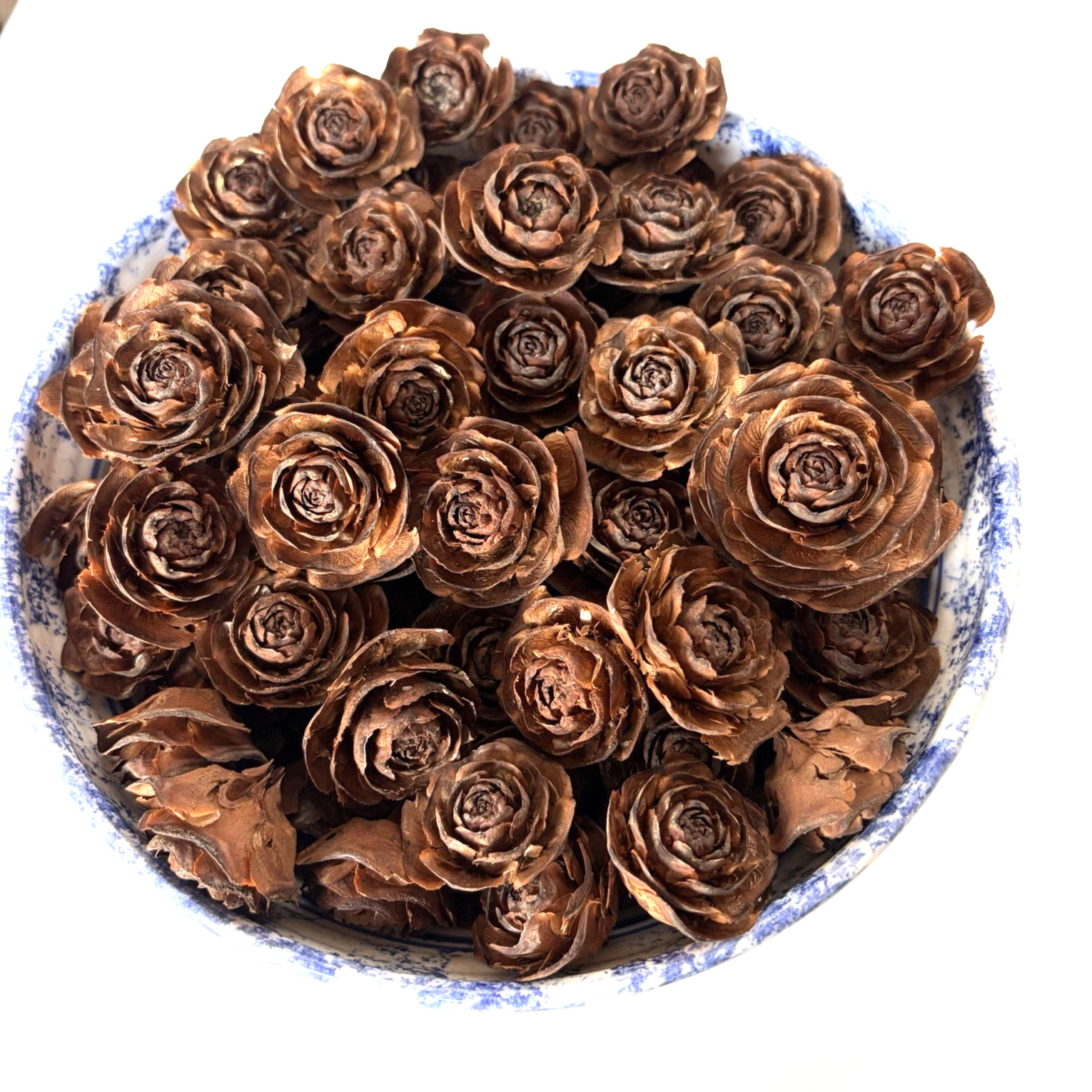 70 Cedar Rose Pine Cones Natural Flower-look Crafts Wreaths Potpourri Weddings