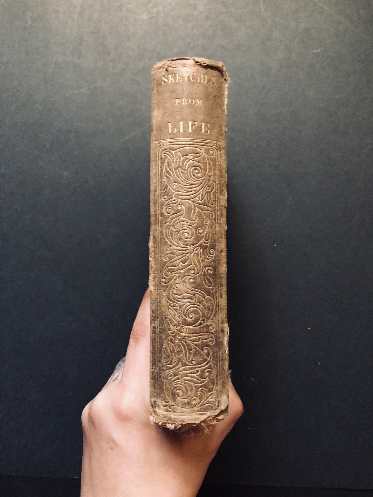 Rare - 1856 - Sketches From Life - Belcher Rare - 1856 - Sketches From Life - Belcher