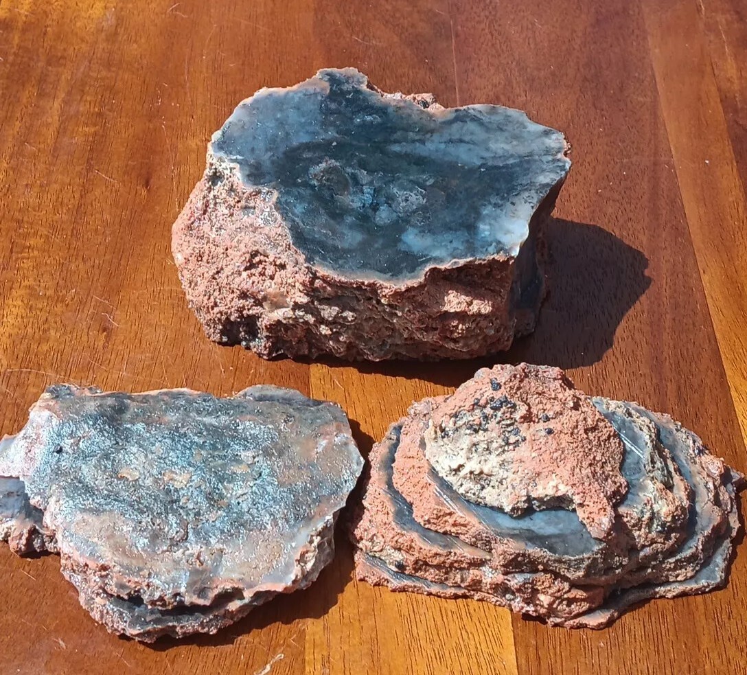  Agatized Petrified Wood Limb Cast 7 Slabs + Center Display Quartz Utah