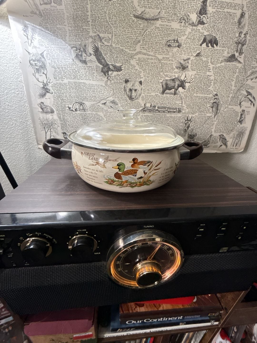 Vintage Forest Land Enamelware Casserole Pot with Glass Lid