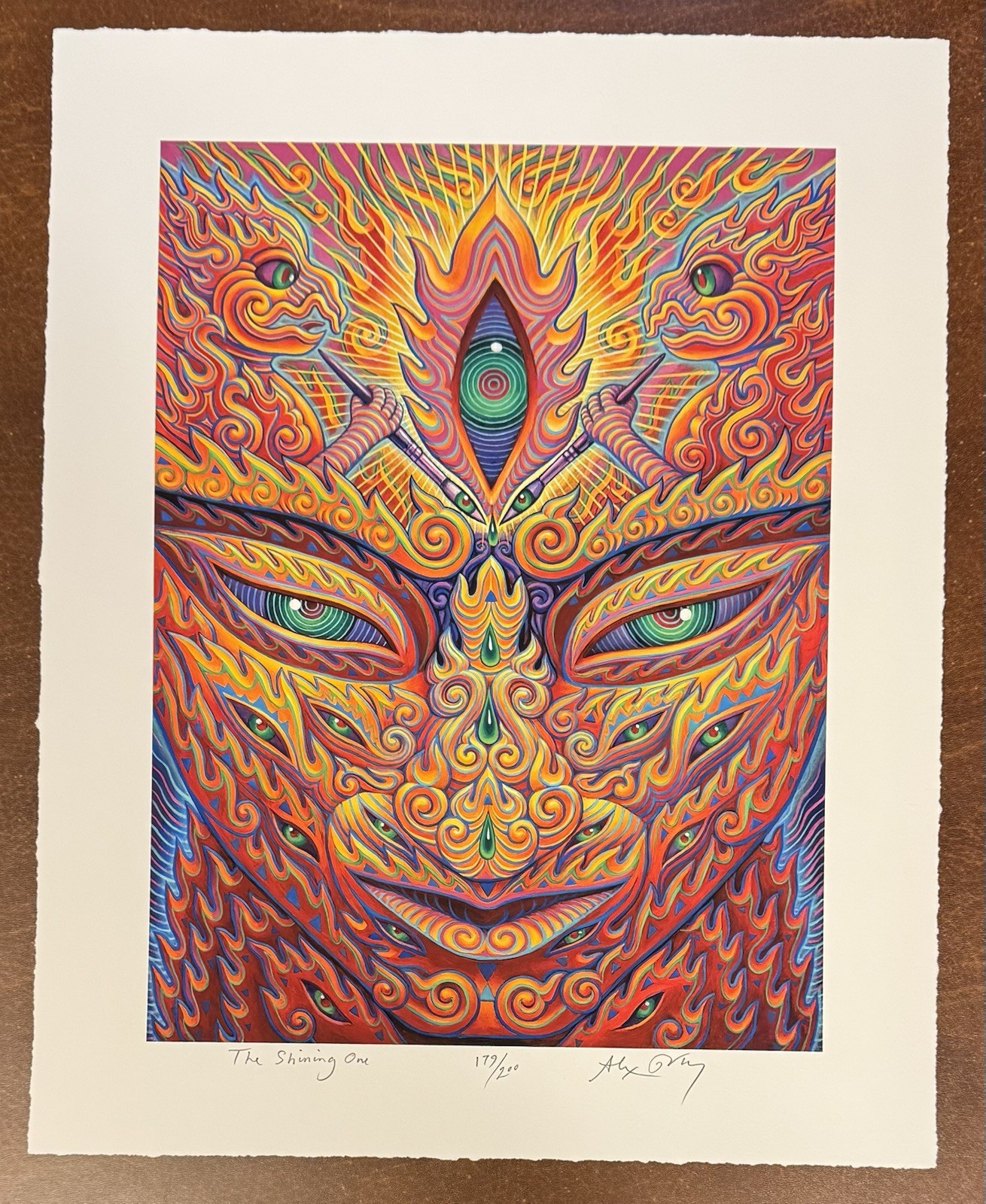 Alex Grey The Shining One Art Print S/# 200 COA Tool Poster Artist Third Eye