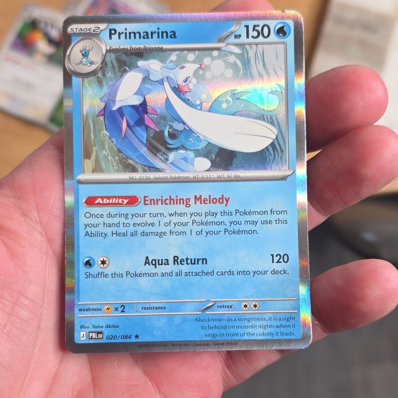 Nintendo Pokemon TCG Primarina 020/084 150 HP Stage 2 Holo Rare English 2026 Nintendo Pokemon TCG Primarina 020/084 150 HP Stage 2 Holo Rare English 2026