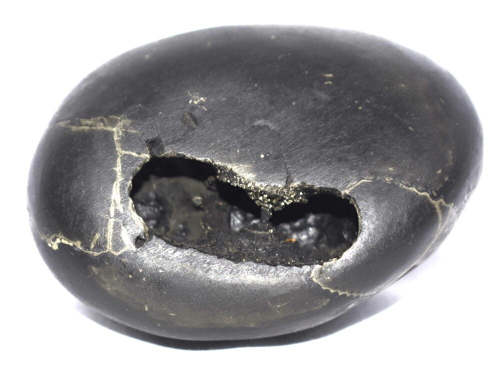 Rare Pundarikaksha Shaligram - Gandaki River Nepal
