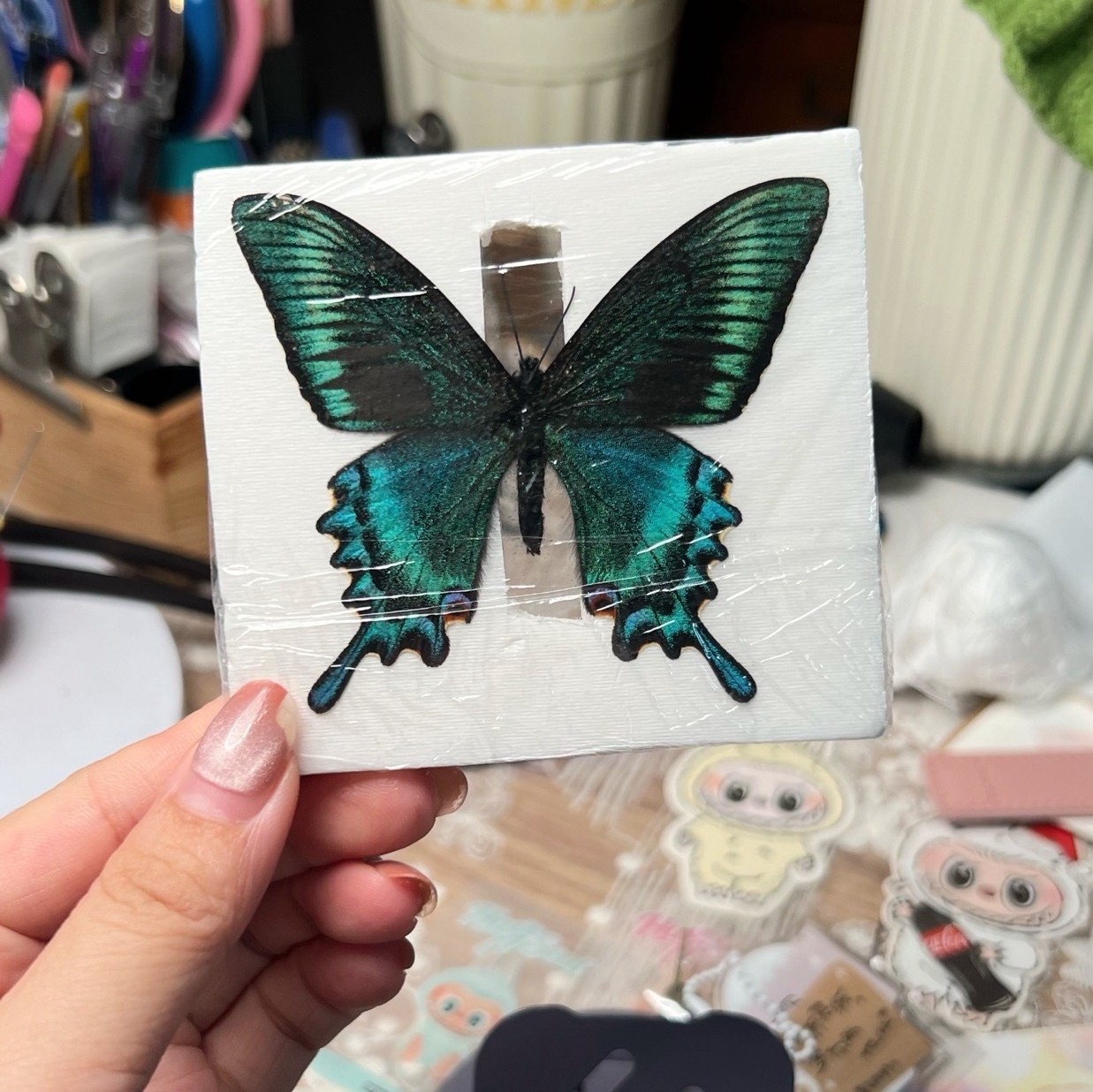 20 Pcs Spring Green Swallowtail Butterflies 5-7cm A1-A- Grade DIY Decor Gift