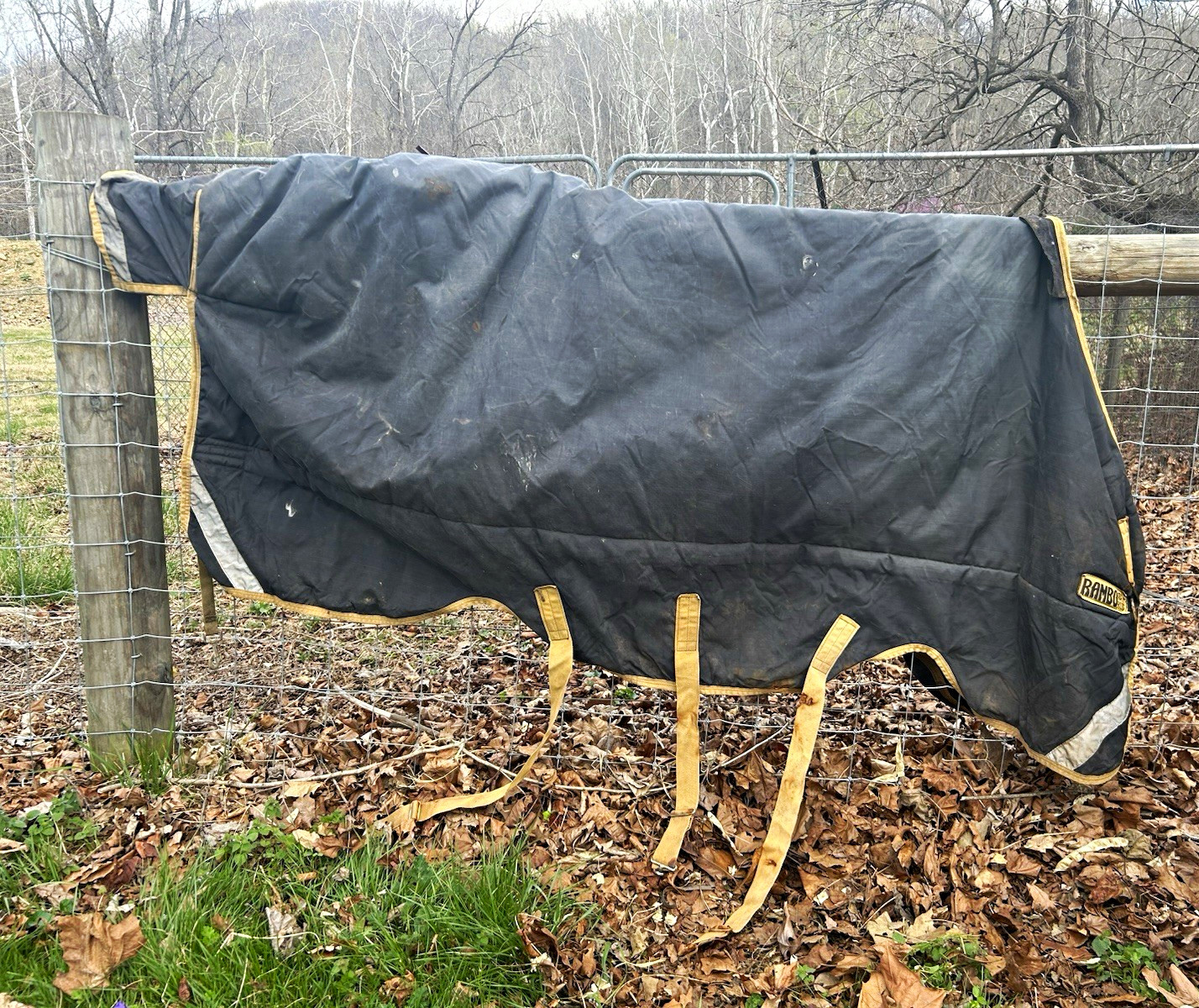 Rambo Horseware Ireland Heavyweight Turnout Blanket Black/Yellow Trim Size 84\