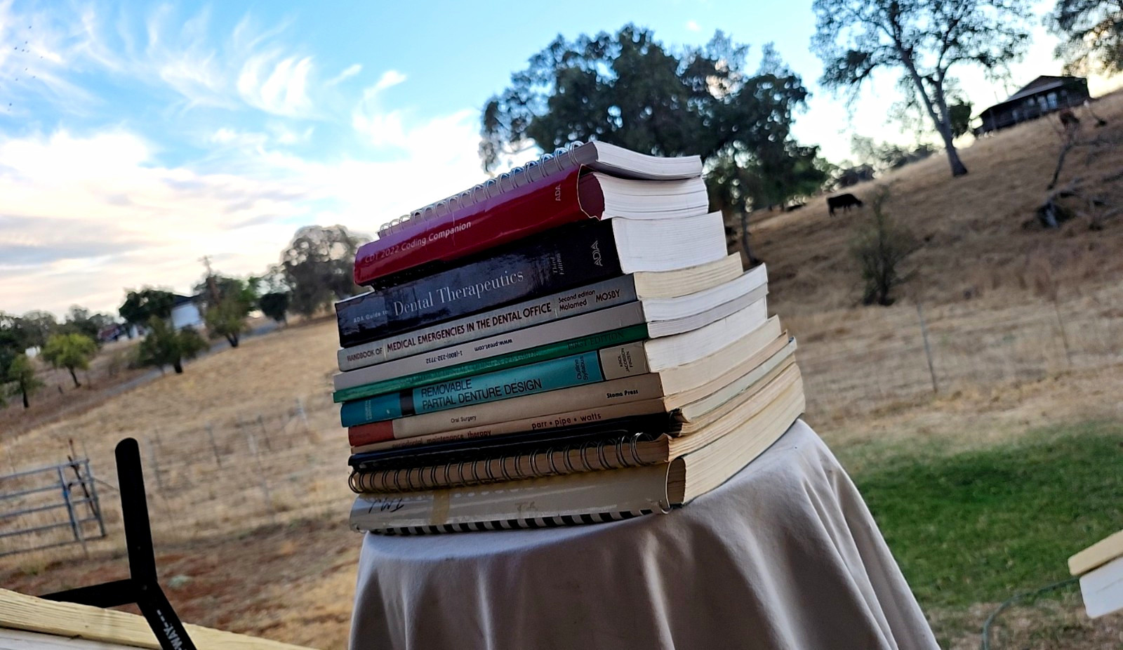 Lot 15 Vintage & Modern Dentistry School University Information Books 📚 Lot 15 Vintage & Modern Dentistry School University Information Books 📚
