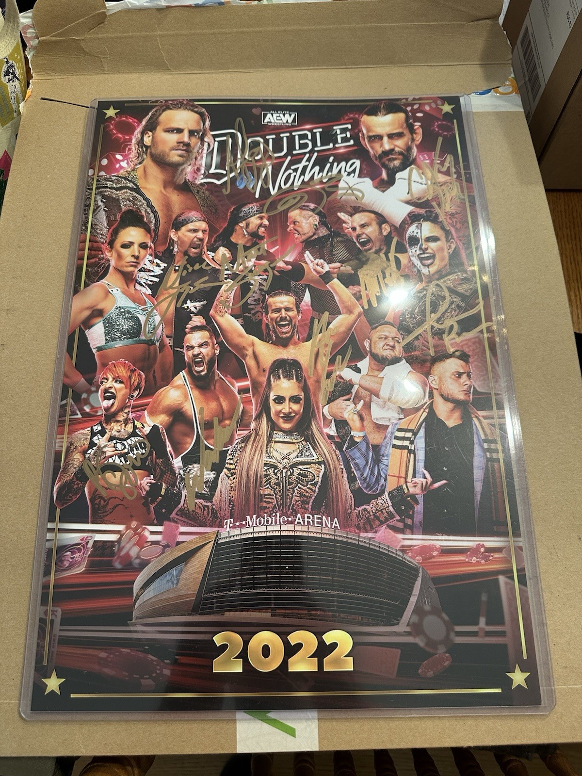 AEW Signed Poster CM Punk Hardy Boys Young Bucks Double Or Nothing Adam Page
