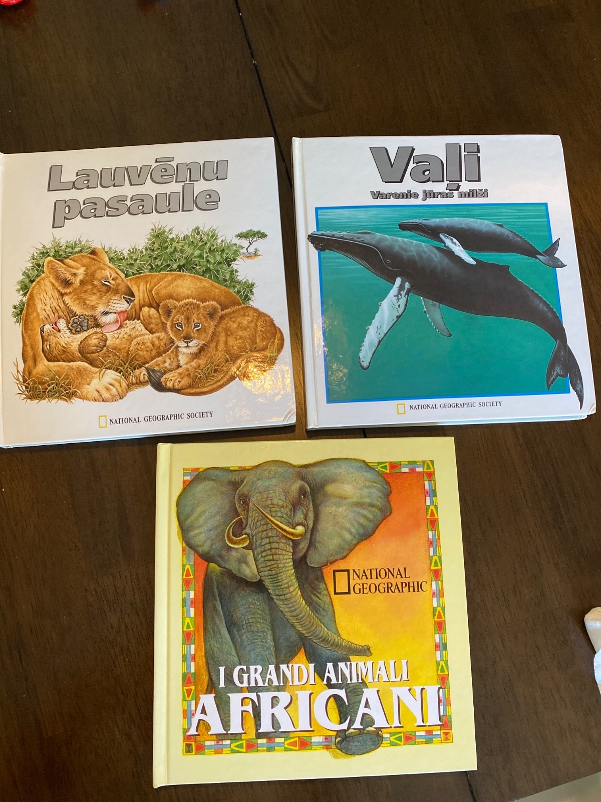 Vintage Italian Pop Up Action National Geographic Book lot of 3