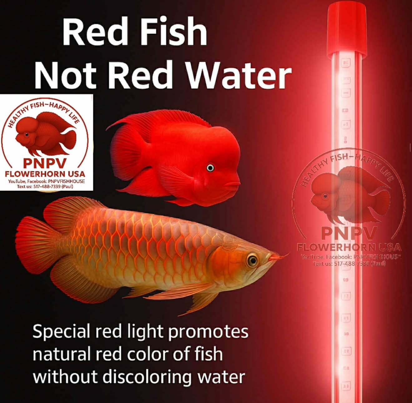 AQUA LED LIGHT 20inch-RED FISH NOT WATER-BOOST RED PIGMENT IN AROWANA-KAMFA-SRM AQUA LED LIGHT 20inch-RED FISH NOT WATER-BOOST RED PIGMENT IN AROWANA-KAMFA-SRM