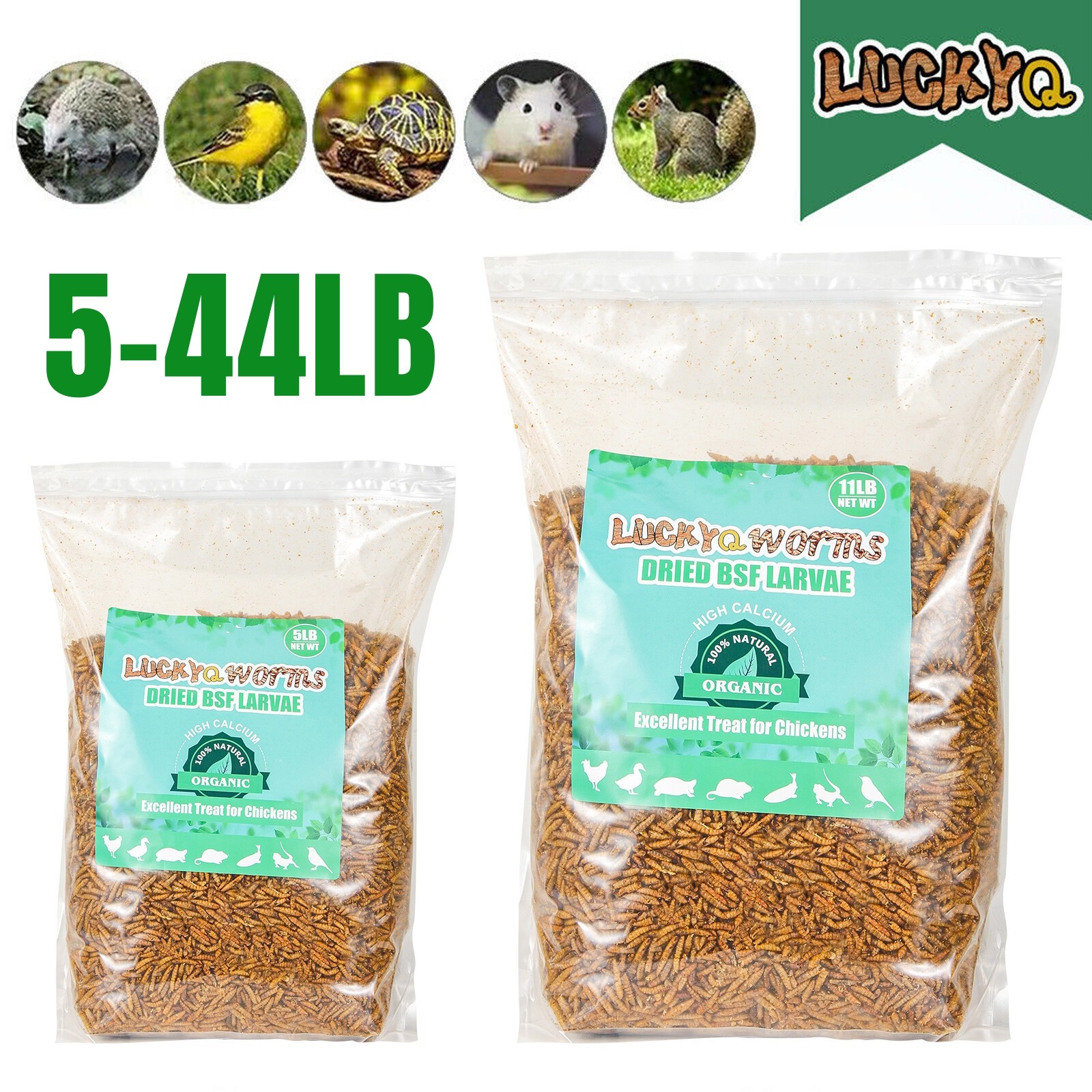 5-44LB Dried Black Soldier Fly Larvae Mealworms for Chicken Birds Treats Premium