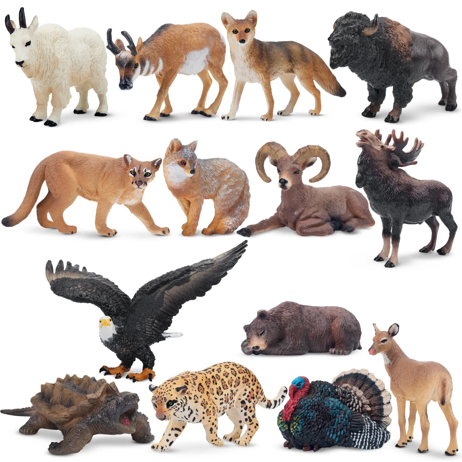 Toymany 14pcs Mini North American Animal Figurine Realistic Collectible Toy Set Toymany 14pcs Mini North American Animal Figurine Realistic Collectible Toy Set