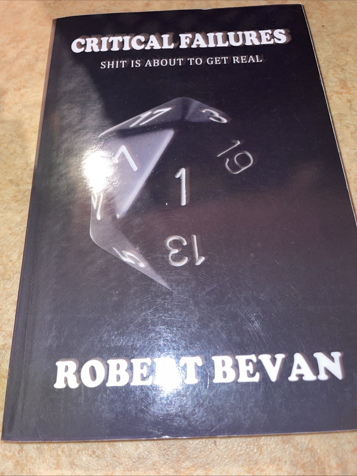 Critical Failures by Robert Bevan (2013, Trade Paperback)