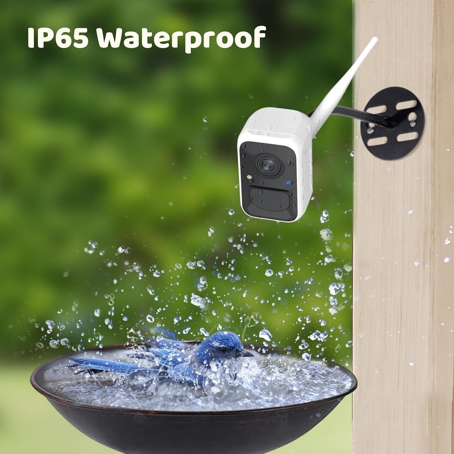 Waterproof WIFI Netvue By Birdfy FHD Camera For Birdwatching