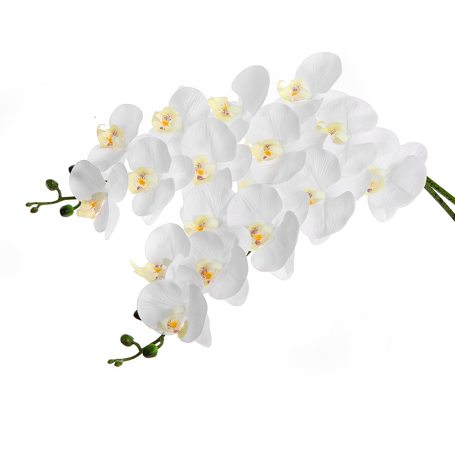 EZFLOWERY 2 Pcs 38’’ Artificial Real Touch Orchids Flowers 9 Heads Latex, White EZFLOWERY 2 Pcs 38’’ Artificial Real Touch Orchids Flowers 9 Heads Latex, White