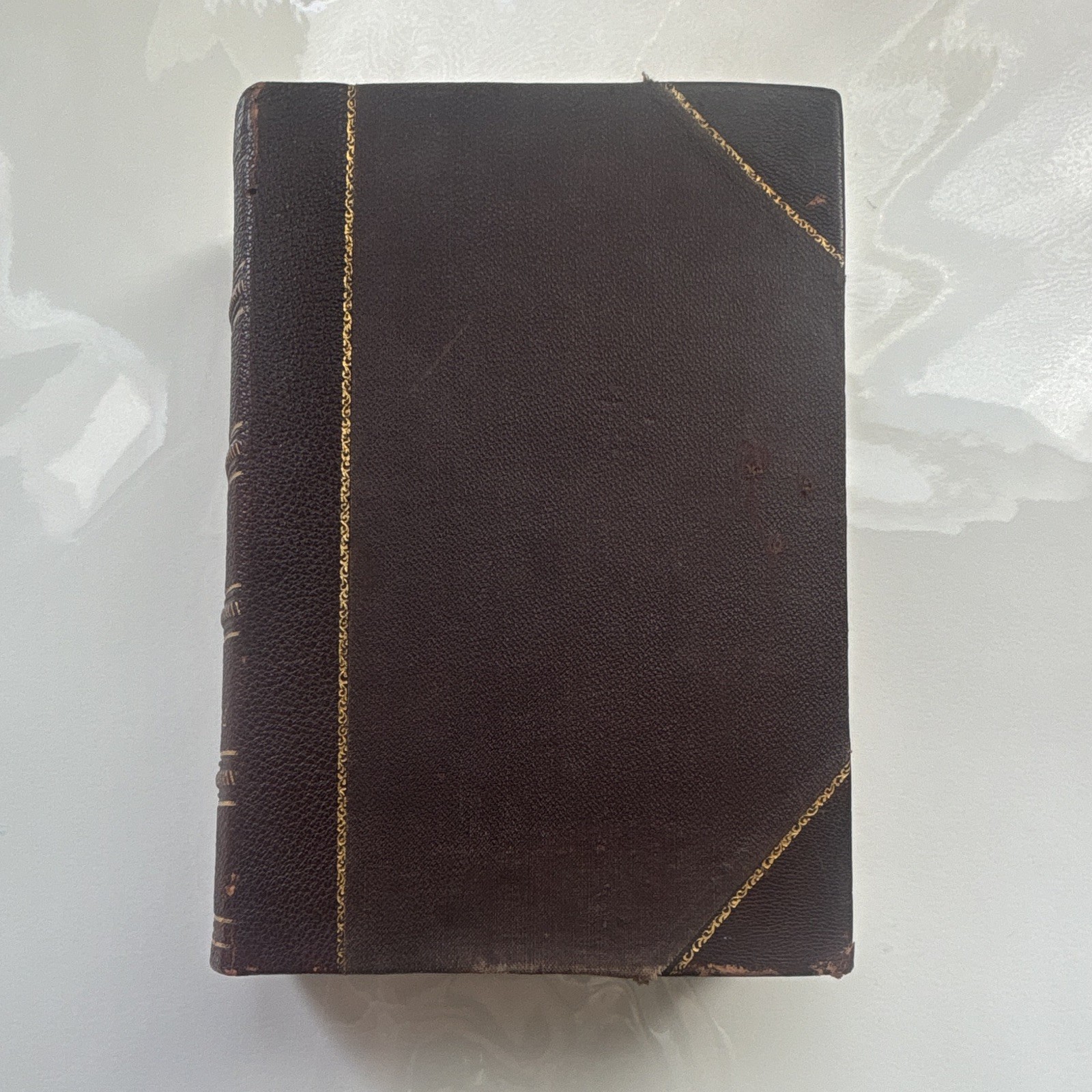 J.H. Kellogg M.D. Plain Facts for Old and Young 1882 Leather Illustrated