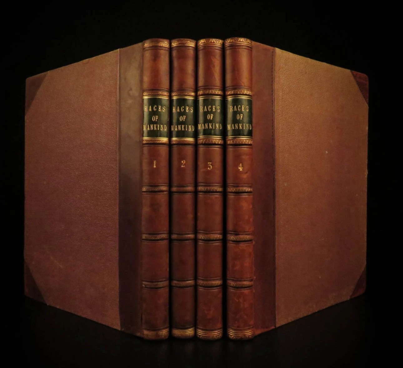 1873 The Races of Mankind 4 Vol. 1st edition/1st - 500+ ILLUSTRATIONS | LEATHER
