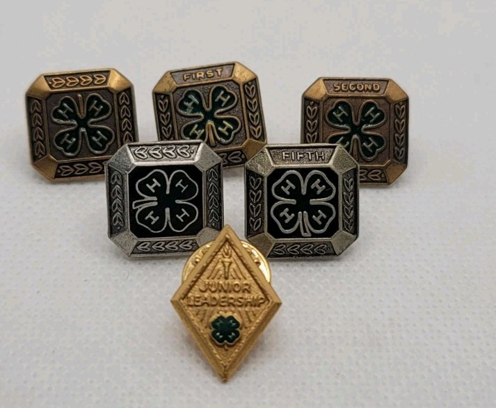 Lot Of 6 Vintage 4H Lapel Pins Awards - Junior Leadership - Lot Of 6 Vintage 4H Lapel Pins Awards - Junior Leadership -