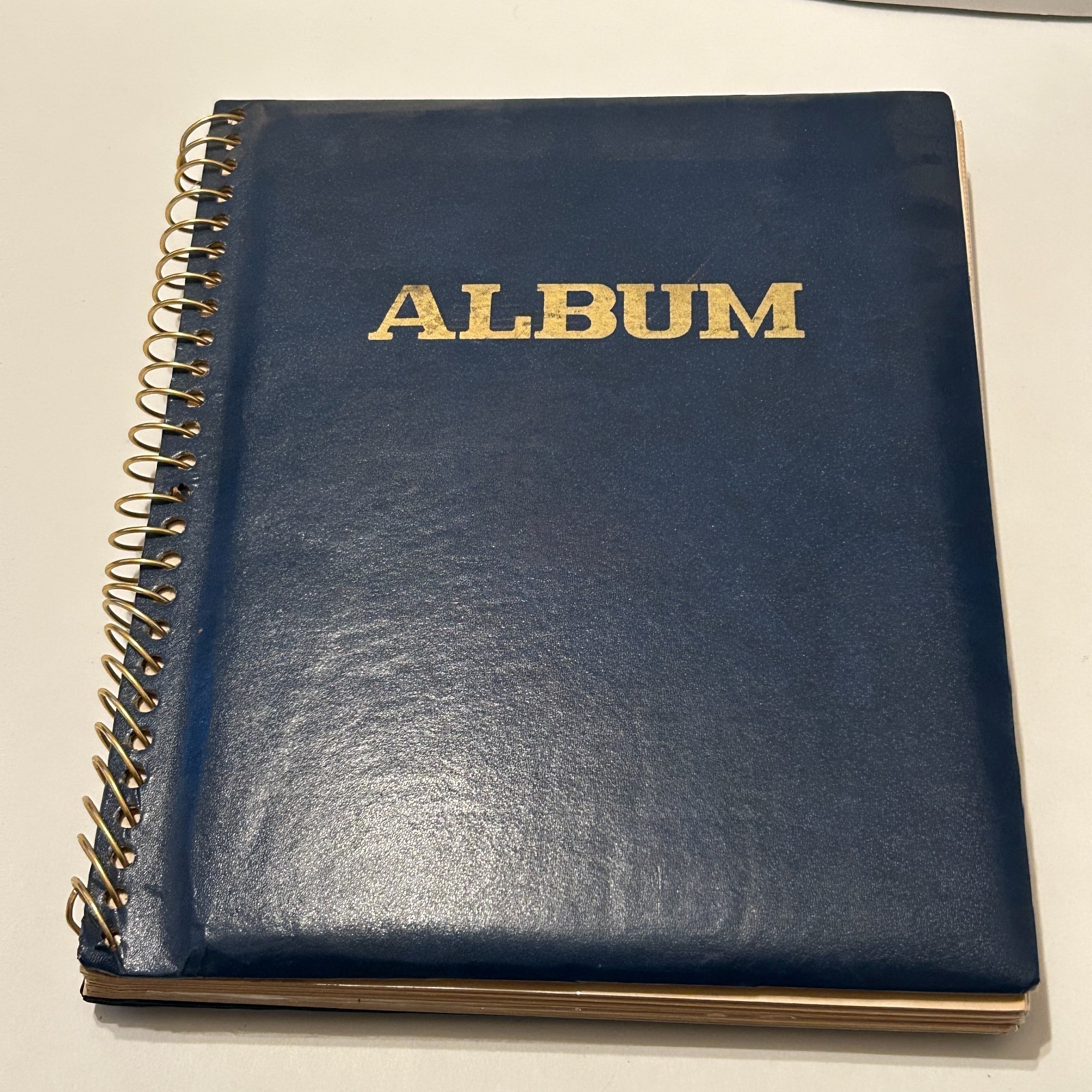 Vtg 1970s Photo Album Fun College Disneyland Jewish Friends Fashion Feet Gay Int