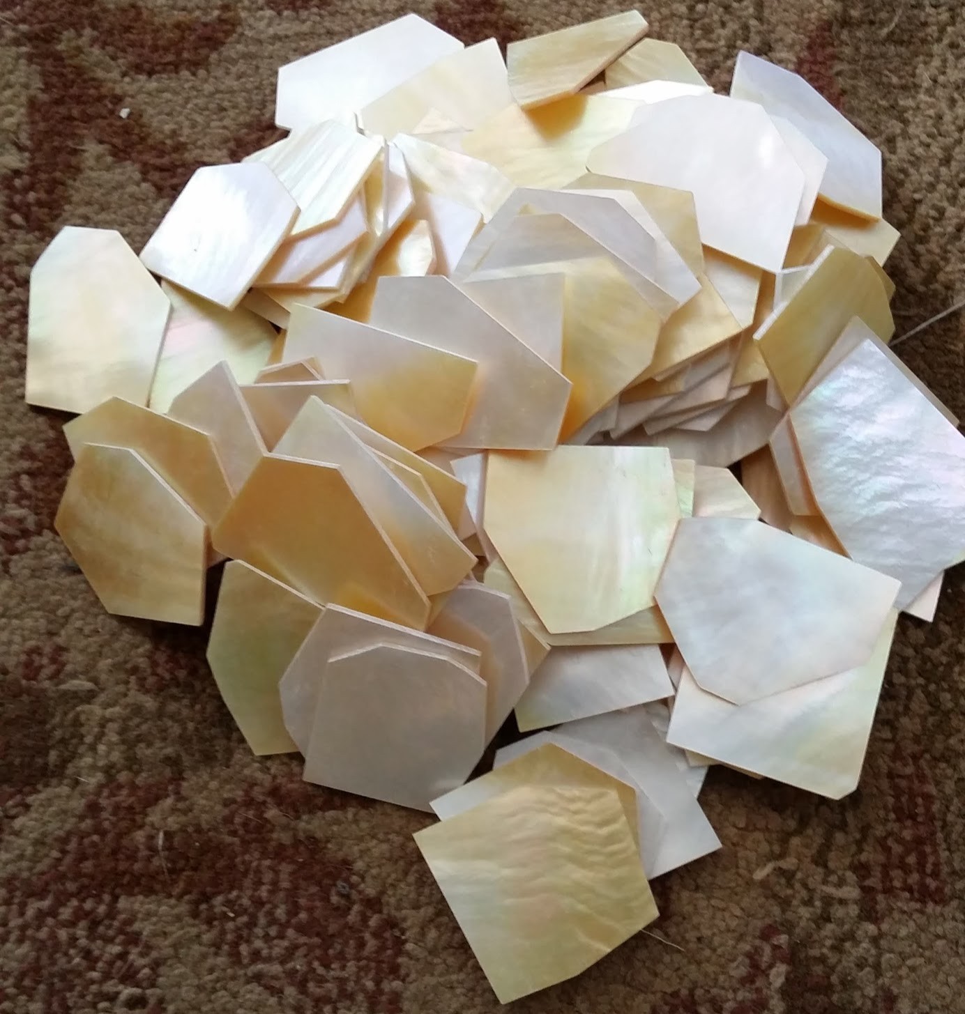 Large GOLD& WHITE Mother of Pearl .040/ mop FLAT INLAY BLANKS.shell~1 lb