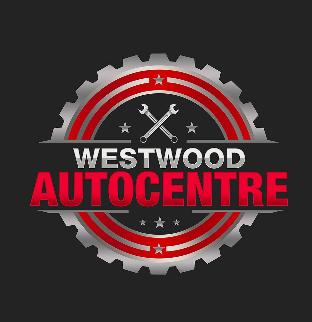 PROFESSIONAL CUSTOM LOGO DESIGN FOR BUSINESS + UNLIMITED REVISION