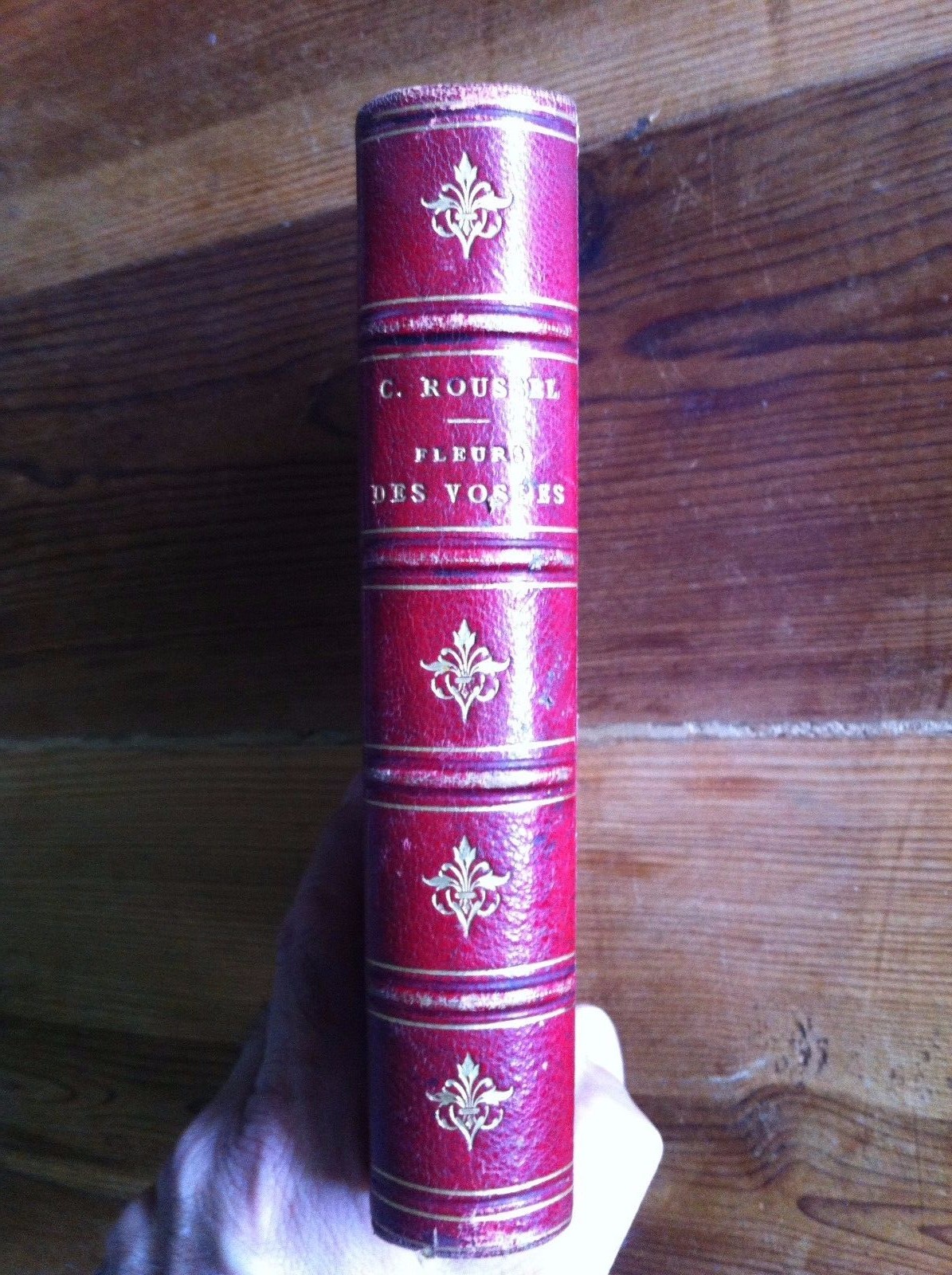 L'Abbé C. Roussel Fleurs des Vosges 1876 VERY RARE Poetry French Paris Flowers 
