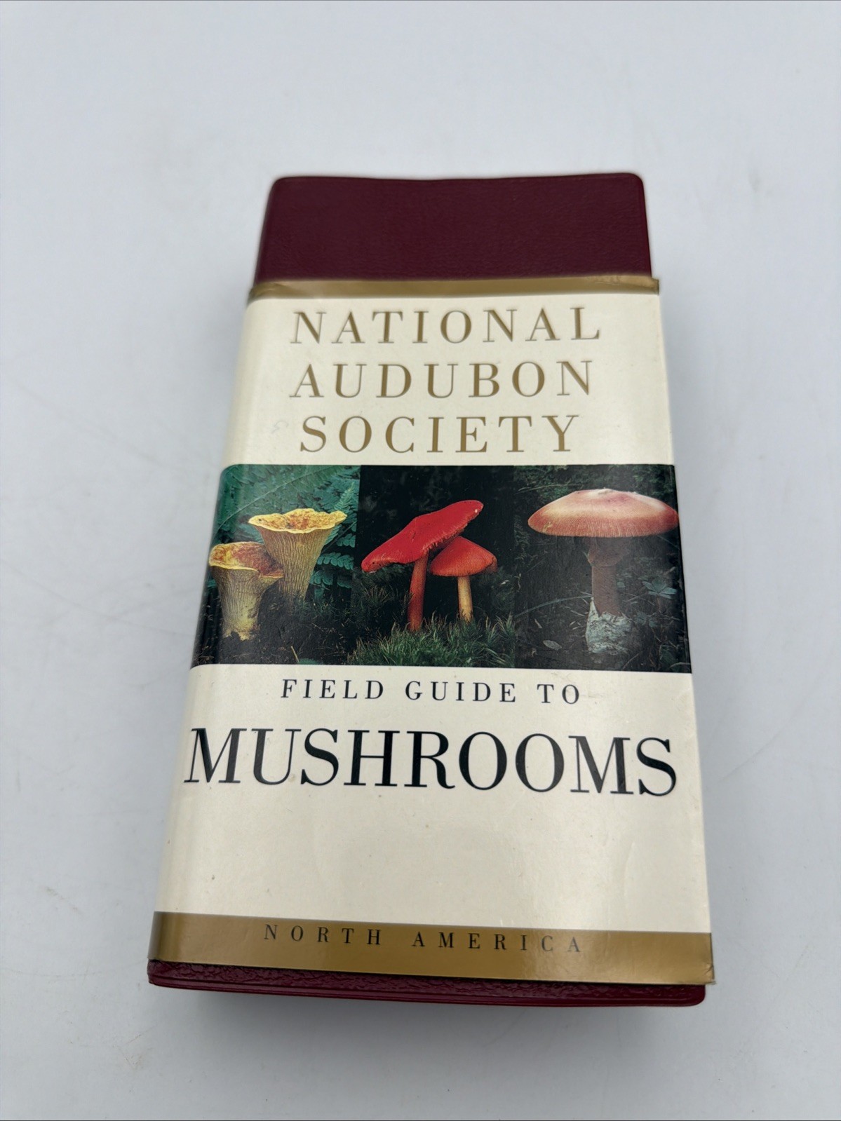 National Audubon Society Field Guide to North American Mushrooms