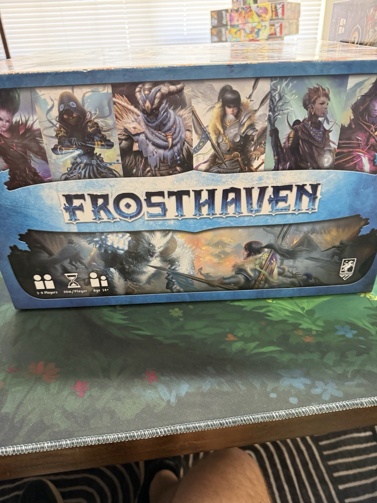 Frosthaven Board Game Kickstarter New, never played