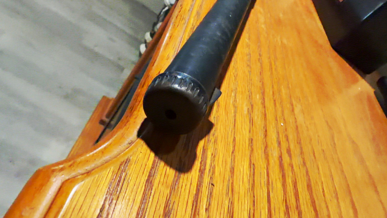 Daisy model 1894