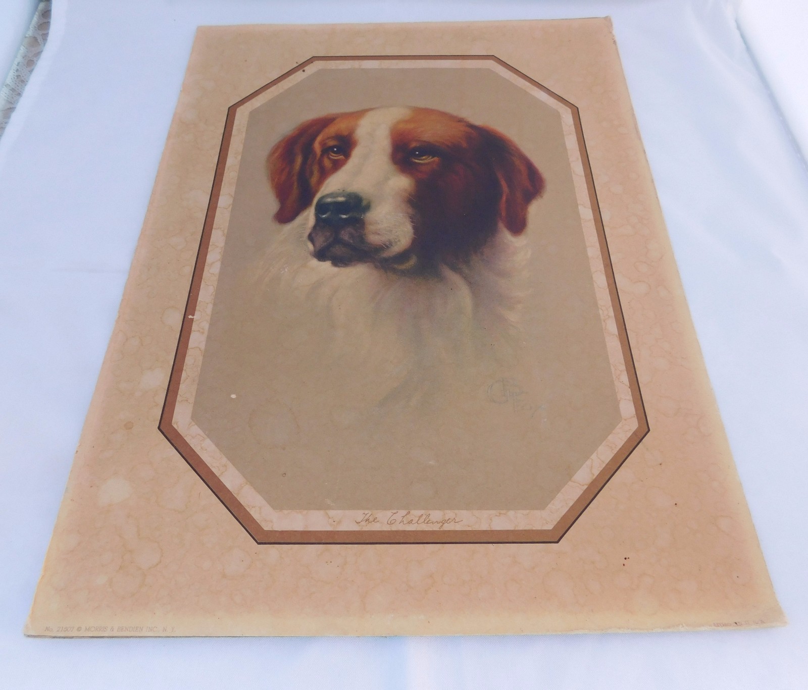 Antique Convex Dog Lithograph Morris Bendien White Red Irish Setter Litho 1920s