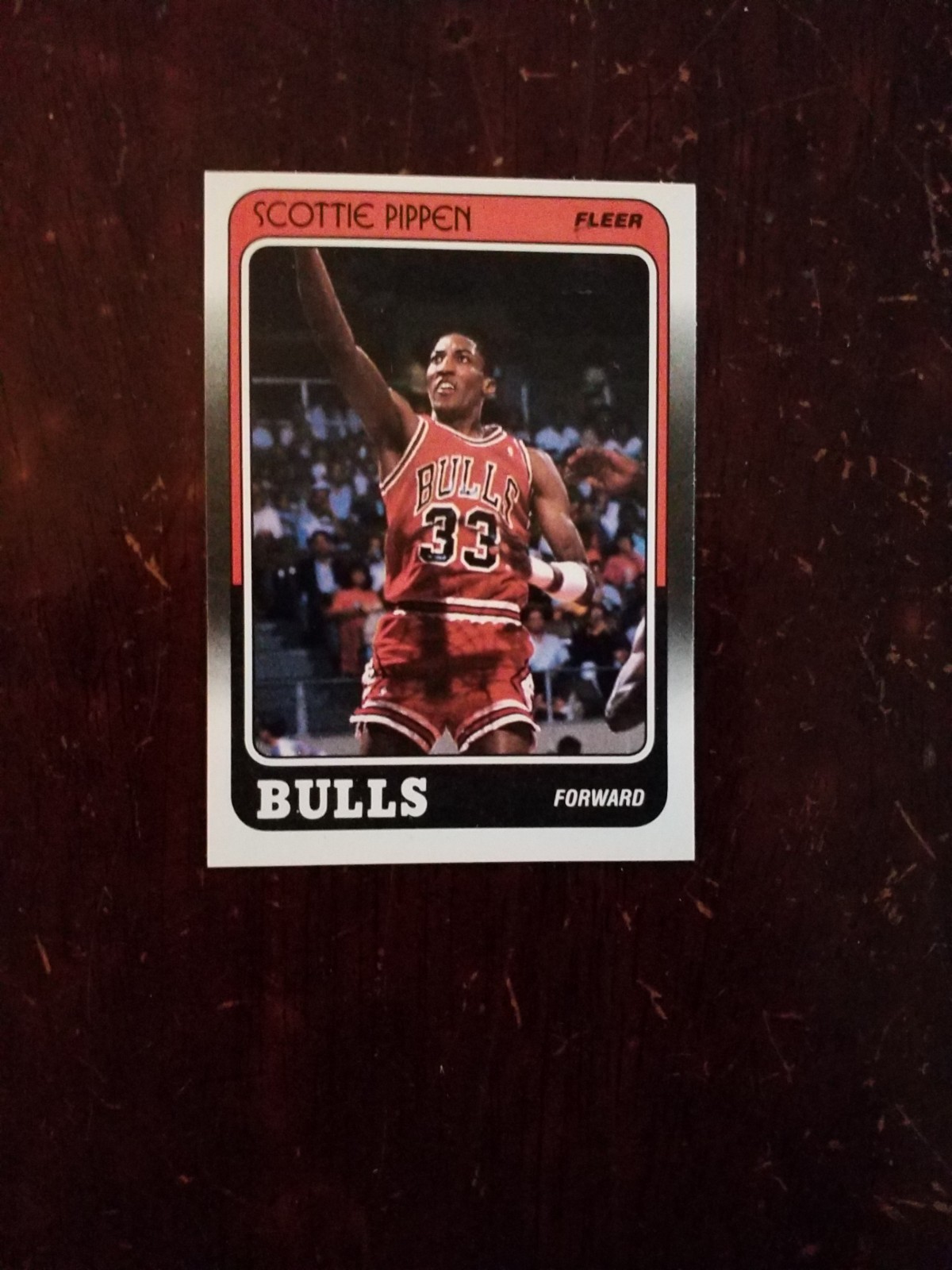 1988-89 Fleer - Scottie Pippen #20 Name Misspelled as Pippin on Back (RC) NMT 1988-89 Fleer - Scottie Pippen #20 Name Misspelled as Pippin on Back (RC) NMT