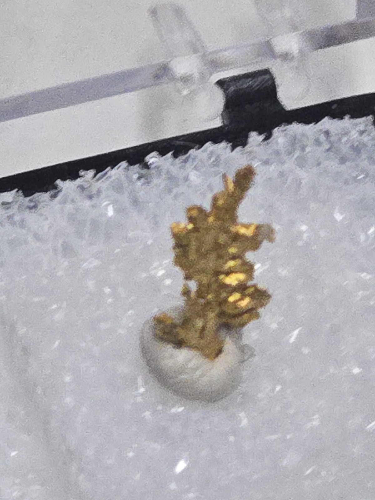 Beautiful California Crystalline Gold specimen Beautiful California Crystalline Gold specimen