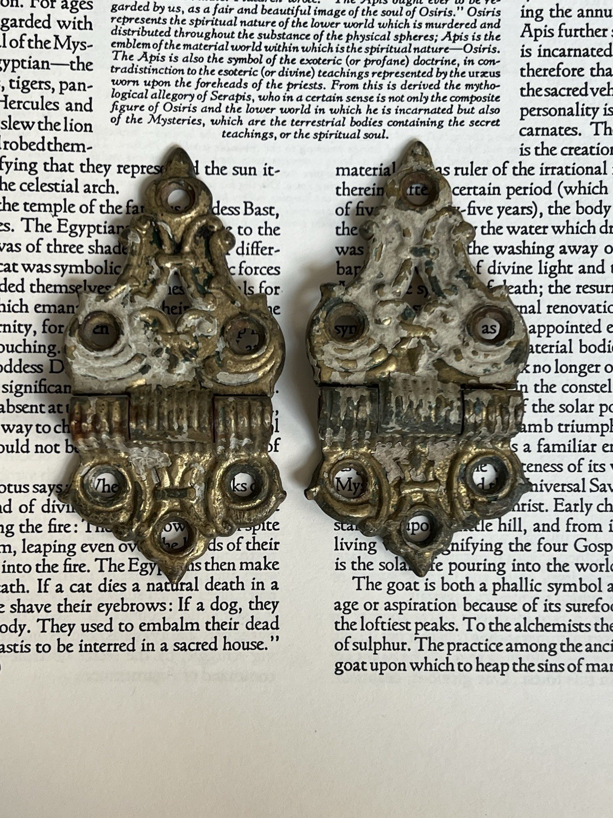 Two Antique Ornate Latch/Hinges Two Antique Ornate Latch/Hinges