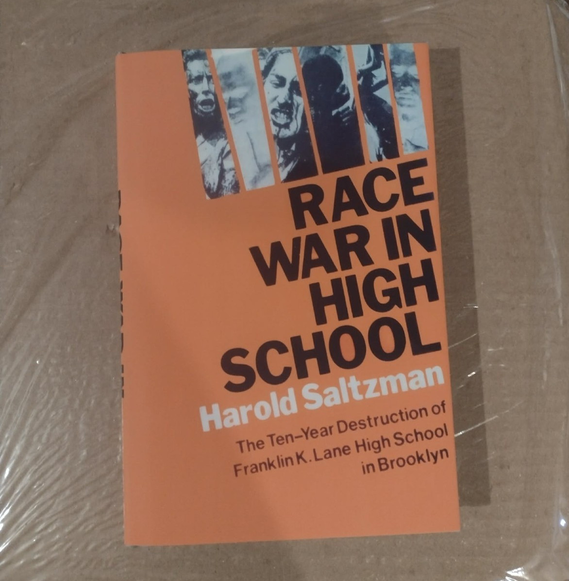 Race War in High School By Harold Saltzman NEW* PAPERBACK