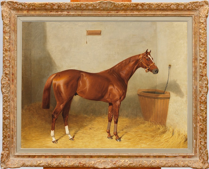 Hand Painted Oil Painting Old Master-Art Antique style Animal Jujube red horse