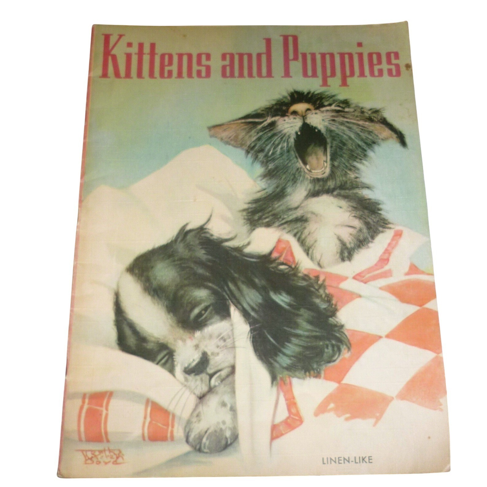 Vintage 1938 Kittens and Puppies Book Bertha Boyd Whitman Linen-Like #923 Large