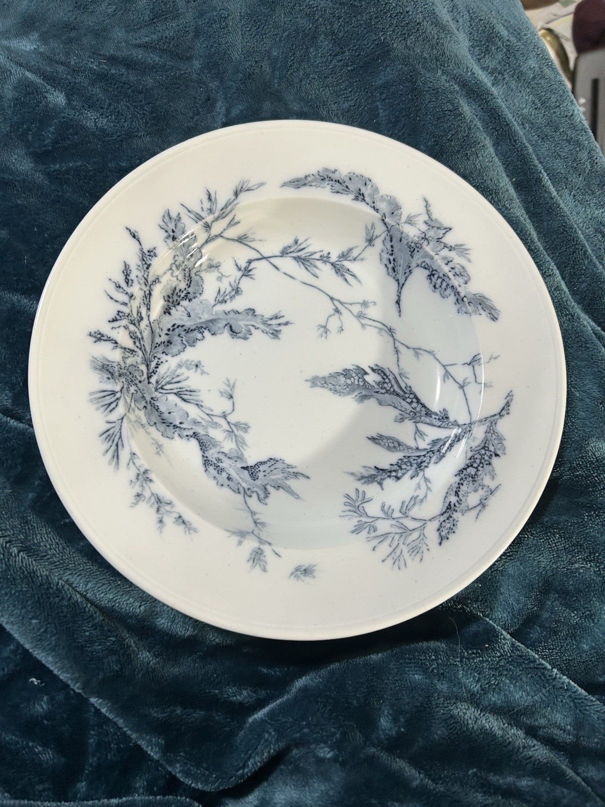 Very Rare Antique Wedgwood Seaweed Shallow bowl Blue in white 10 1/8” Very Rare Antique Wedgwood Seaweed Shallow bowl Blue in white 10 1/8”