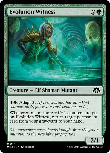 Evolution Witness NM MTG Modern Horizons 3 MH3 Green Elf Adapt Counters Regular