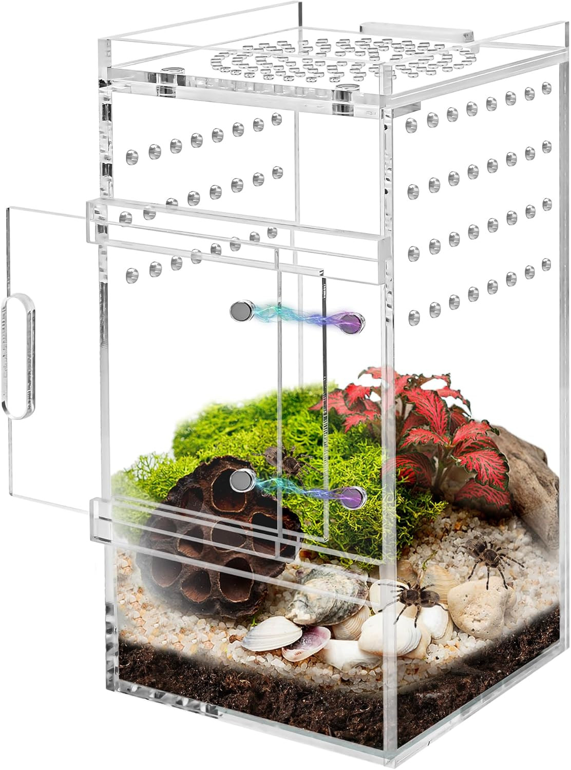 Acrylic Jumping Spider Enclosure Tarantula Enclosure, Full Transparency Spider E Acrylic Jumping Spider Enclosure Tarantula Enclosure, Full Transparency Spider E