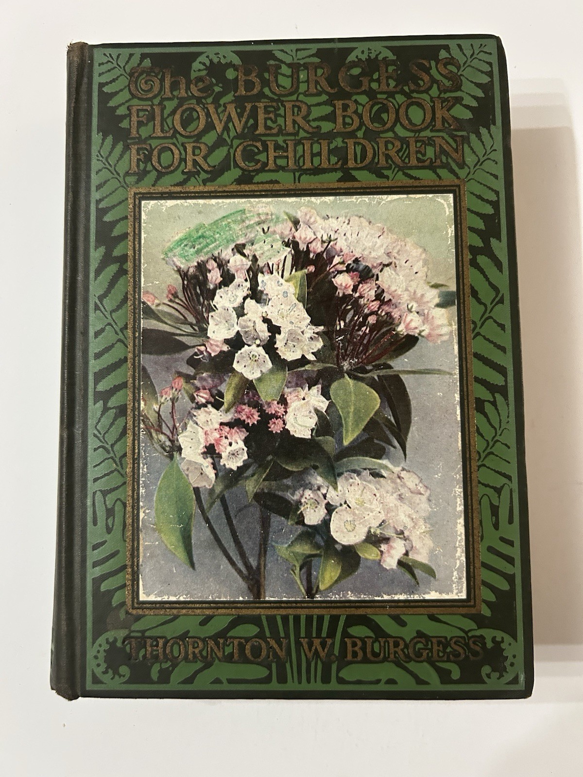 Vintage Antique 1923 Burgess Flower Book for Children First Edition Hardcover Vintage Antique 1923 Burgess Flower Book for Children First Edition Hardcover