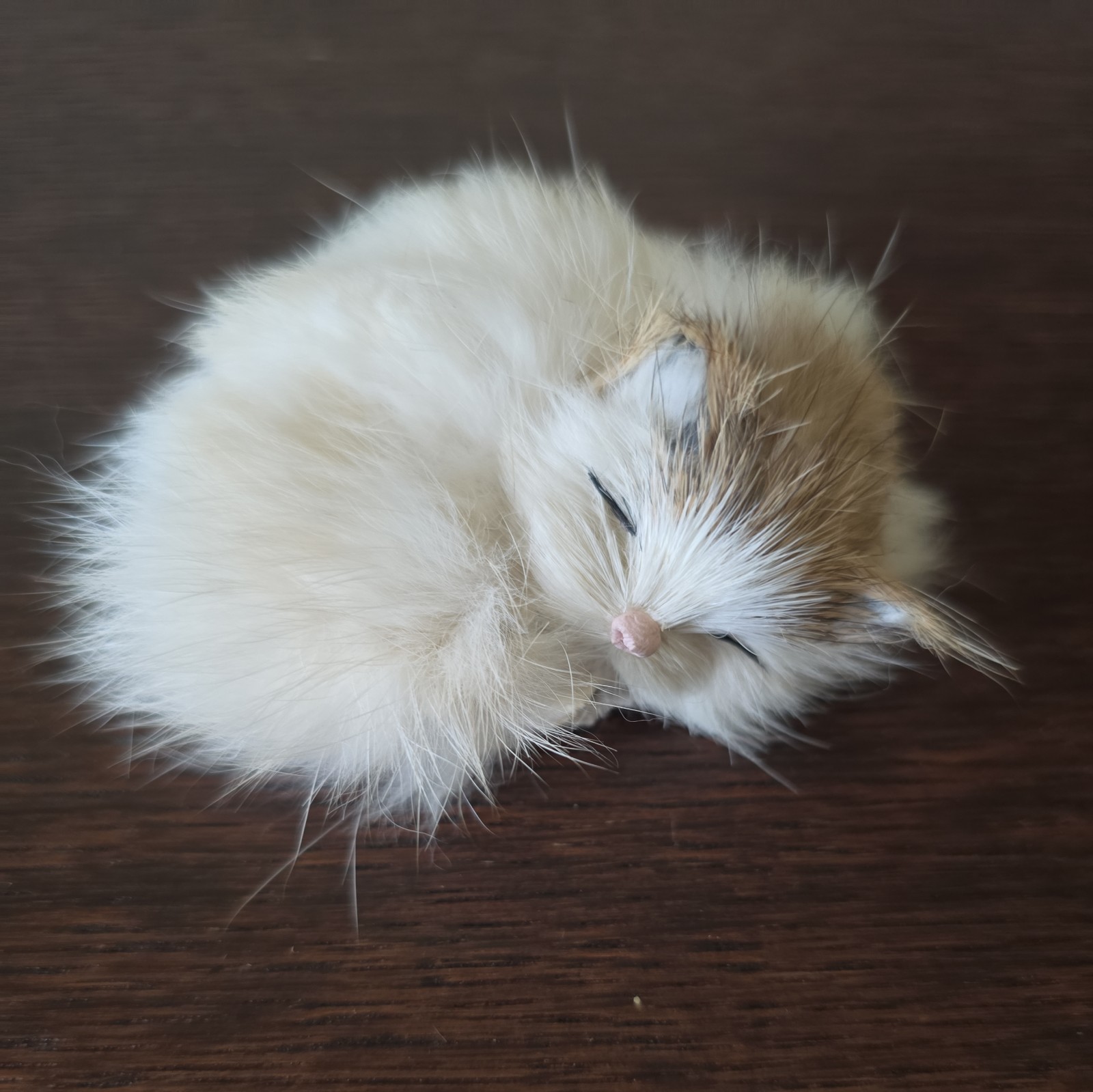 Vintage Fluffy Tabby 3