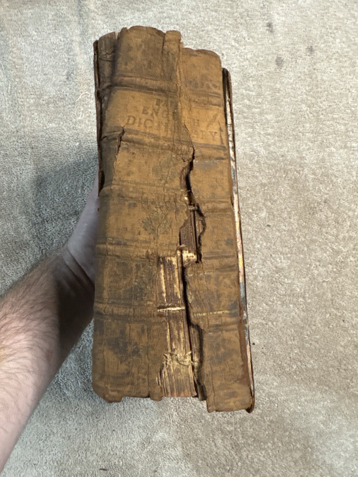 1771 A Compleat English Dictionary Nathan Bailey English-German Leipzig
