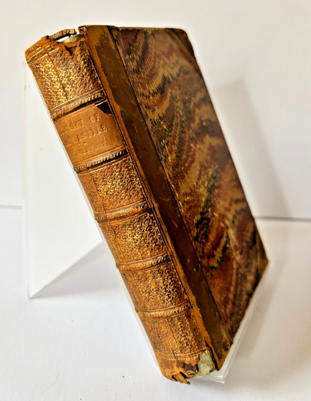 Antique Book History Bastile Davenport 1839 Thomas Tegg London French Revolution