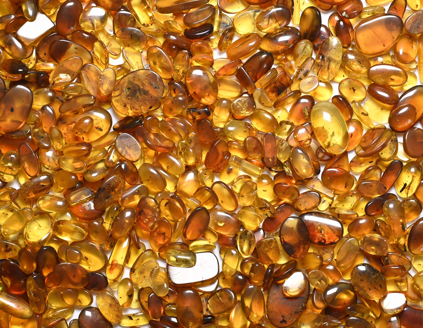 GENUINE Fossil Insect Inclusion in Burmese amber - Price per 3 pieces GENUINE Fossil Insect Inclusion in Burmese amber - Price per 3 pieces