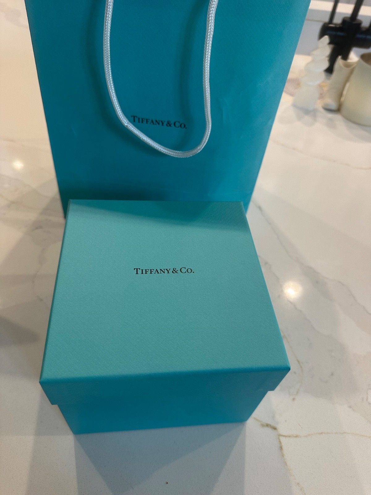 Tiffanys T1 Narrow Diamond Hinged Bangle in White Gold. Retail $17,800